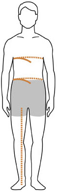 mens chest legs